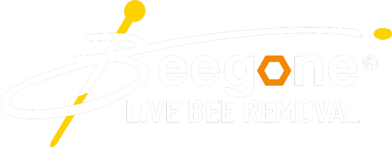 Live Bee Removal Logo | Beegone