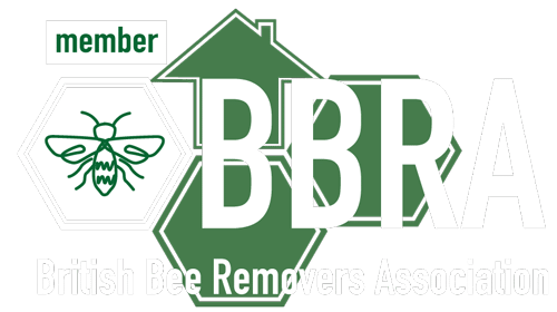BBRA Logo | Beegone
