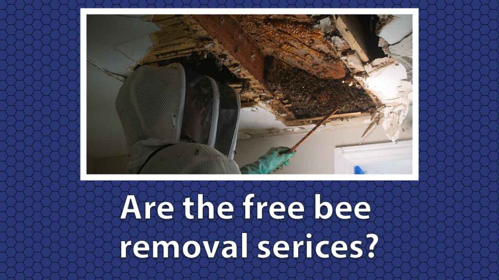 Are There Free Bee Removal Services?
