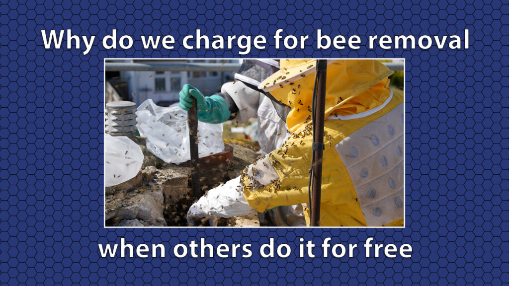 Why do we charge for bee removal when others do it for free