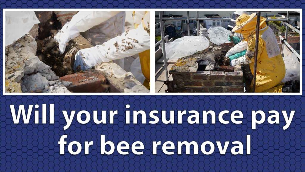 Will your insurance pay for bee removal