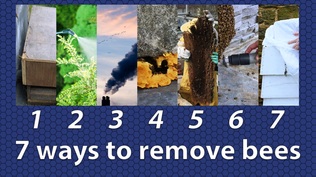 seven ways to remove honeybees