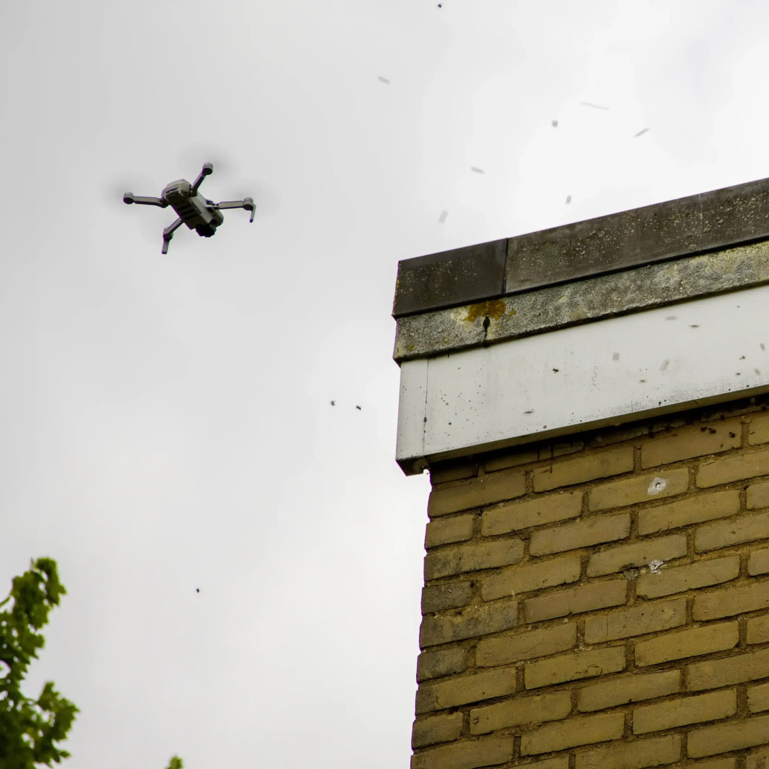 Drone And Thermal Imaging Surveys
