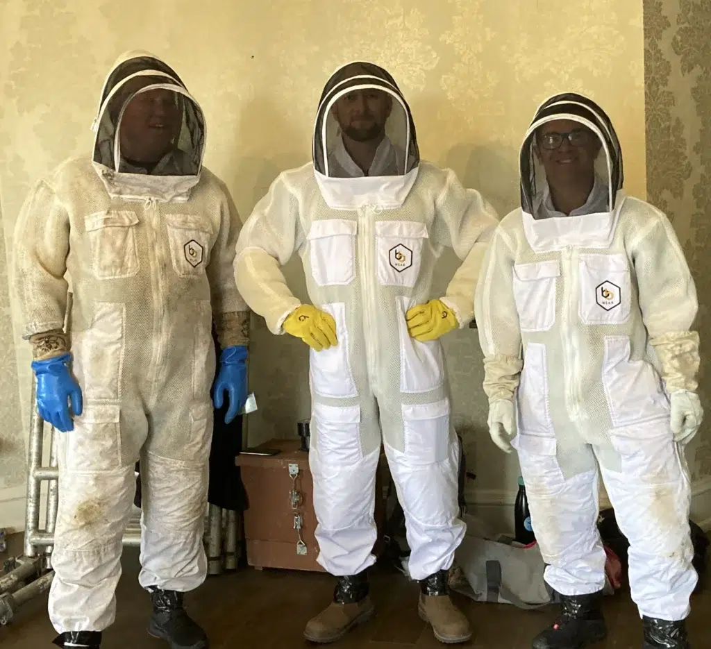 Best Way to Remove Bee Nests | Beegone